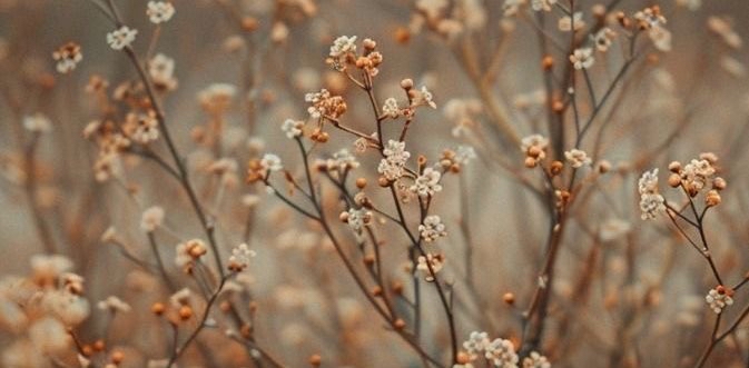 challenge background