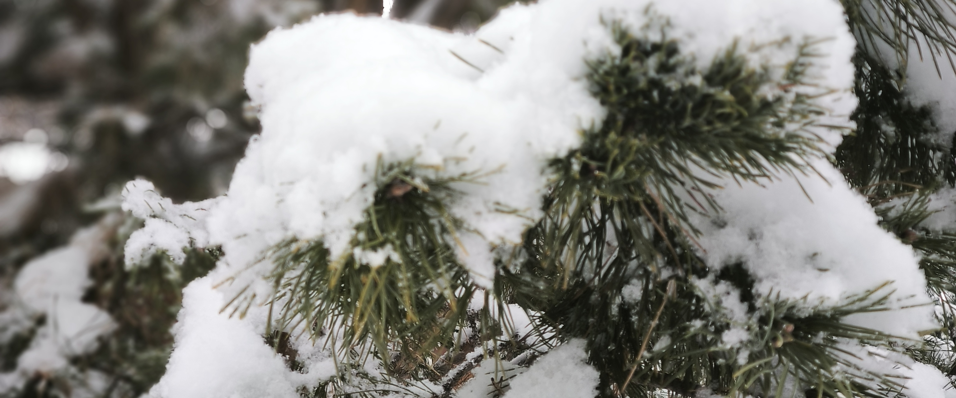 challenge background