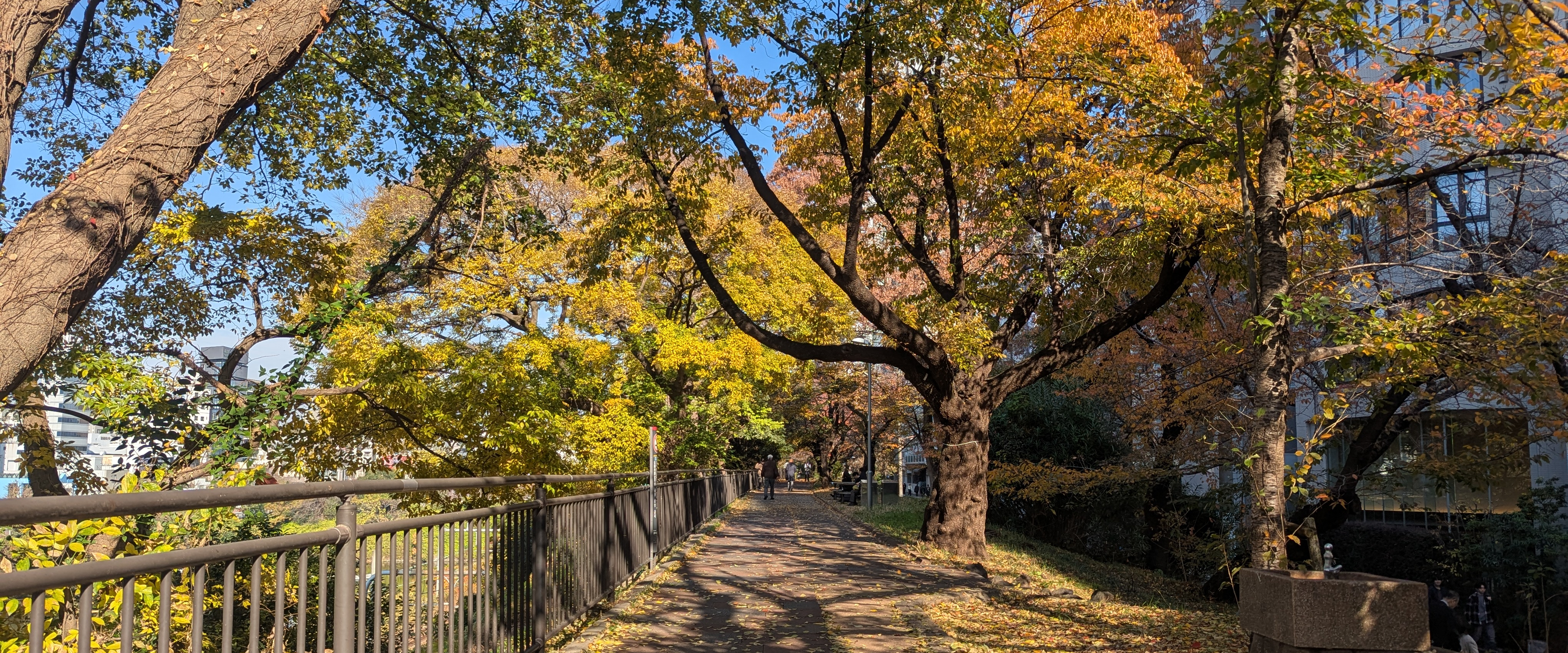 challenge background