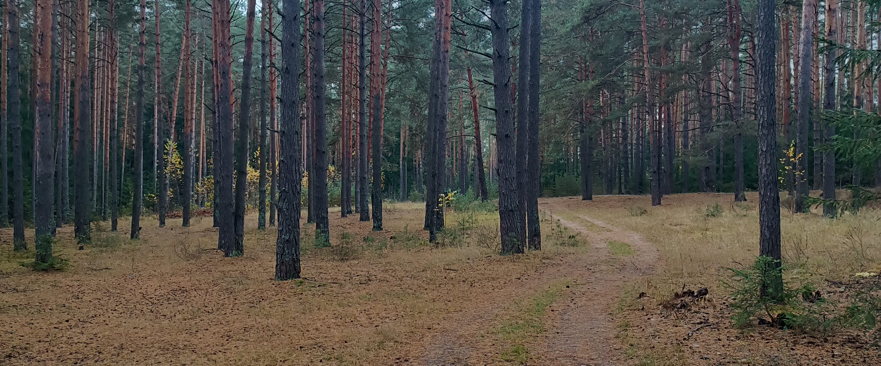 challenge background