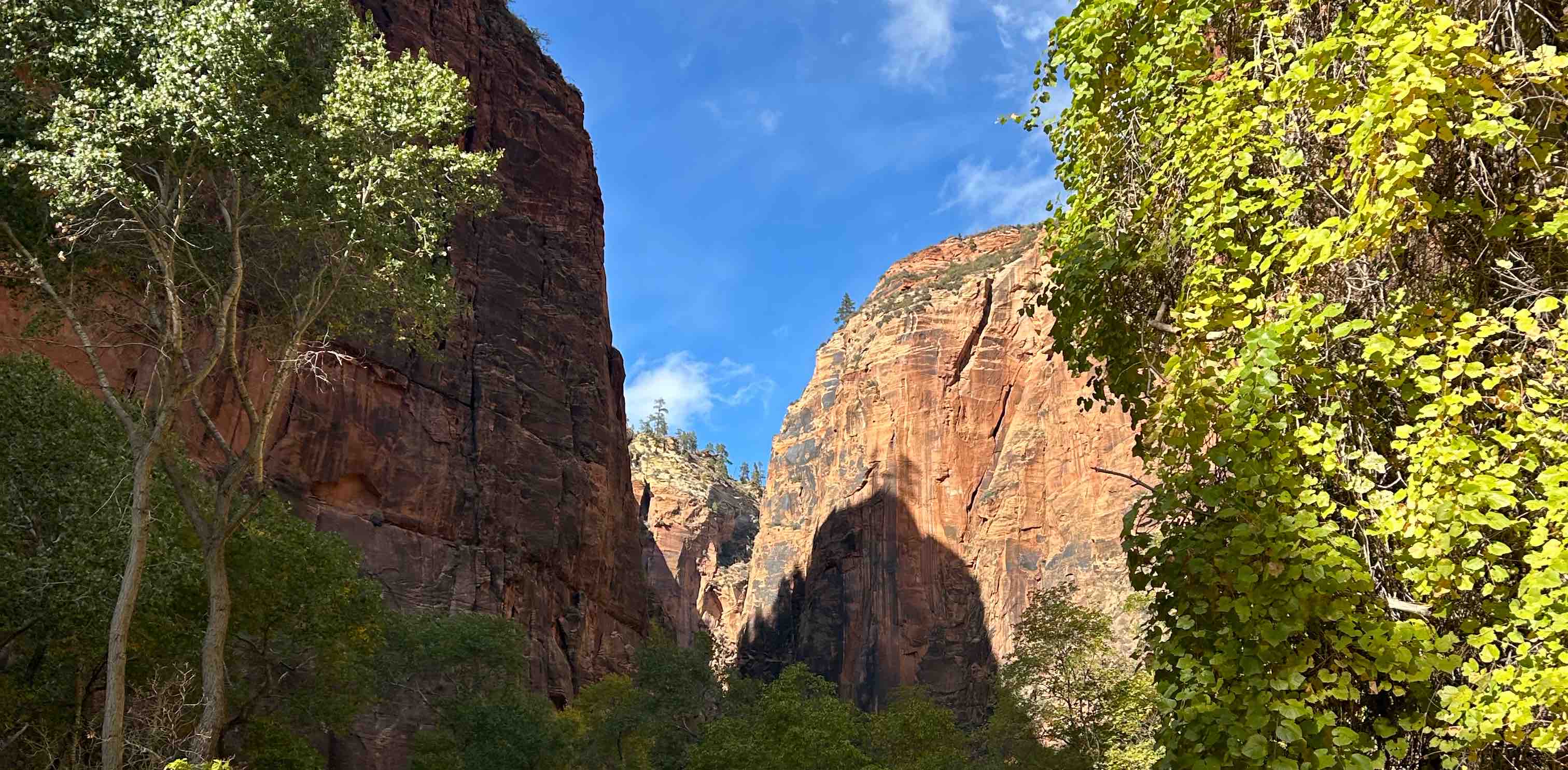 challenge background