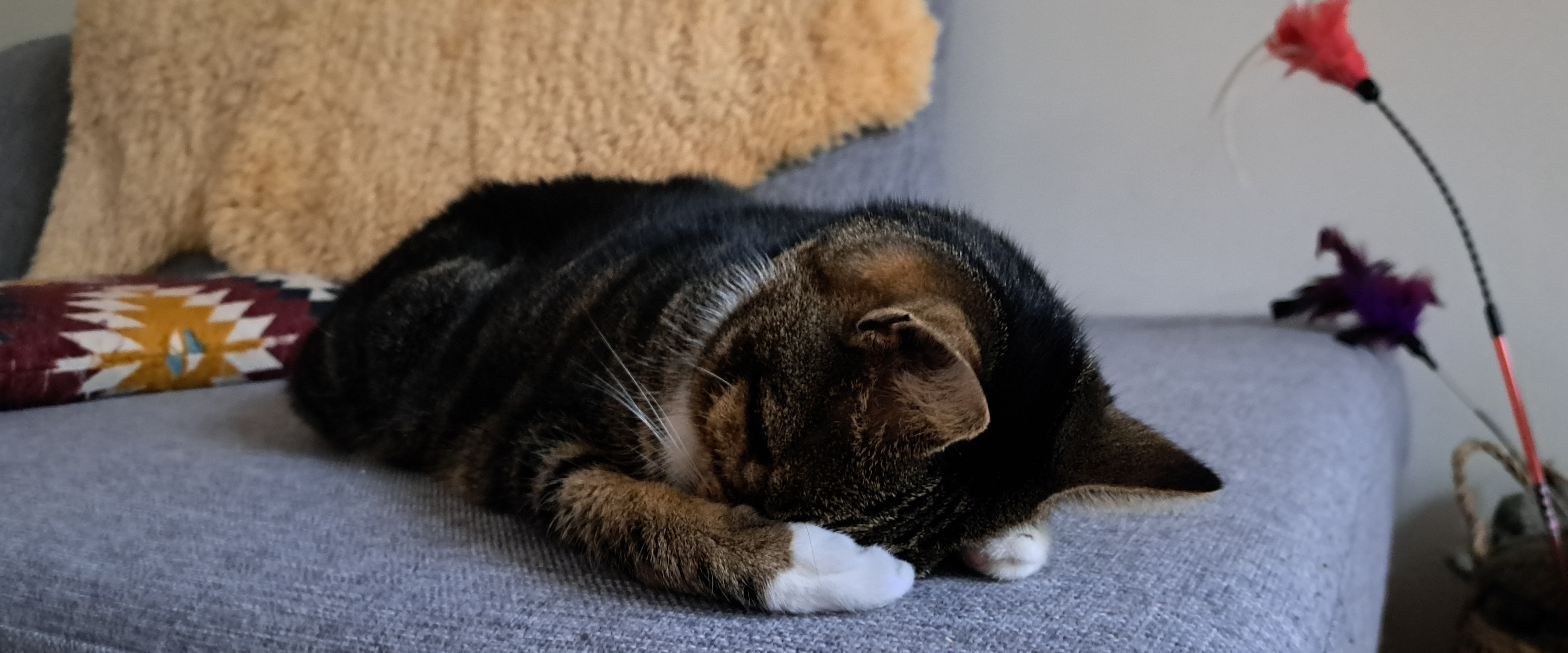 challenge background