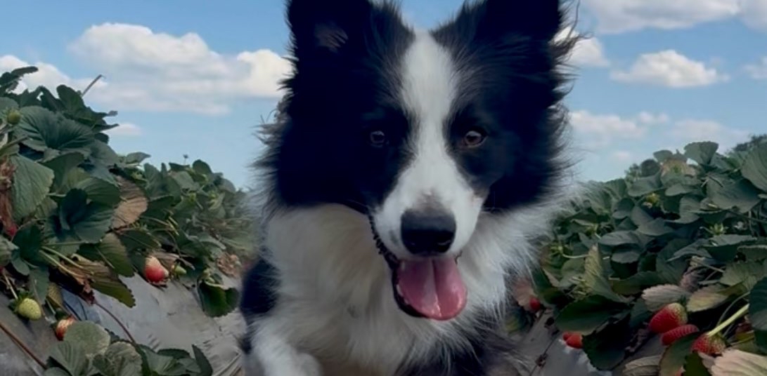 challenge background