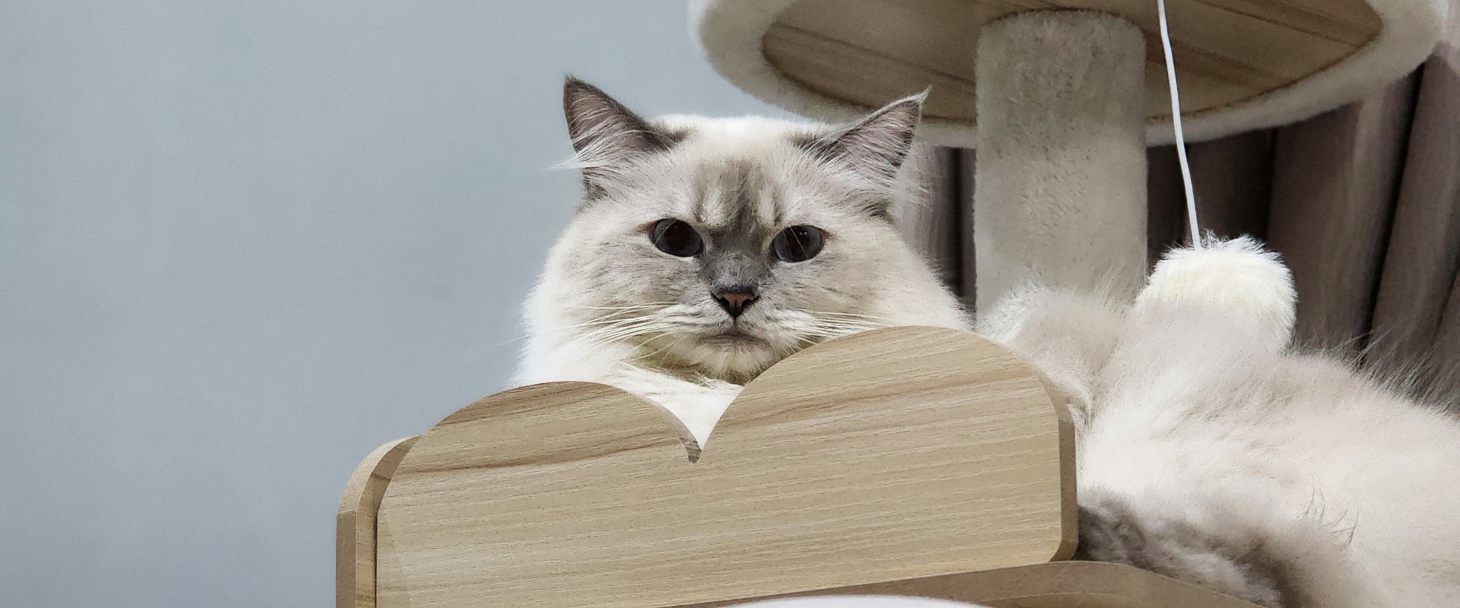 challenge background