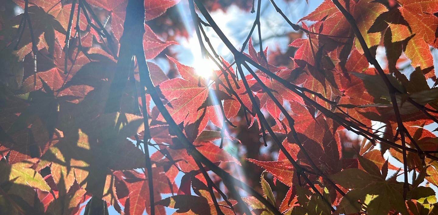 challenge background