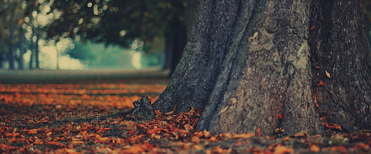 challenge background