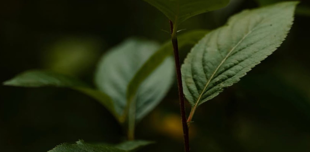 challenge background