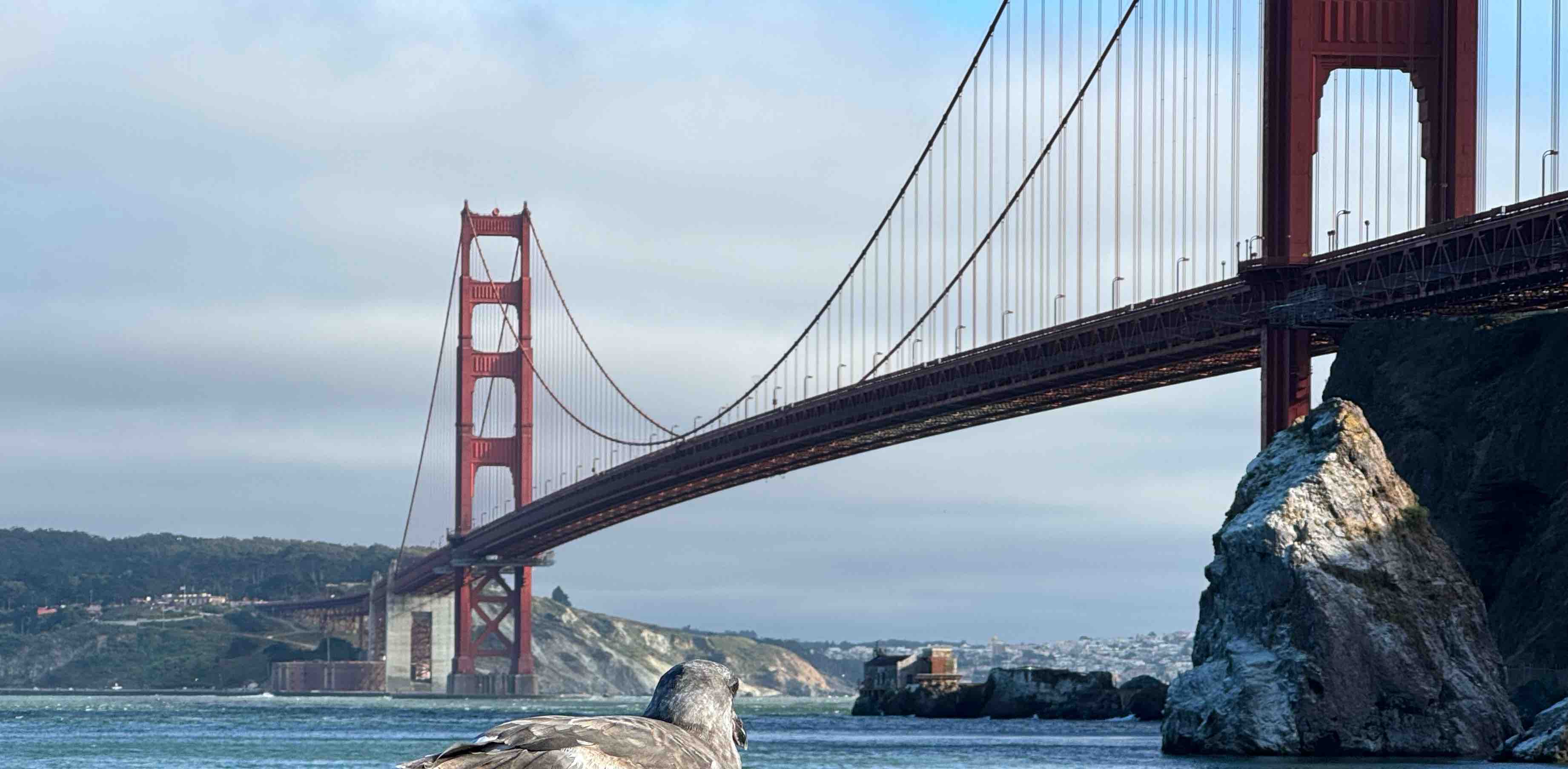 challenge background