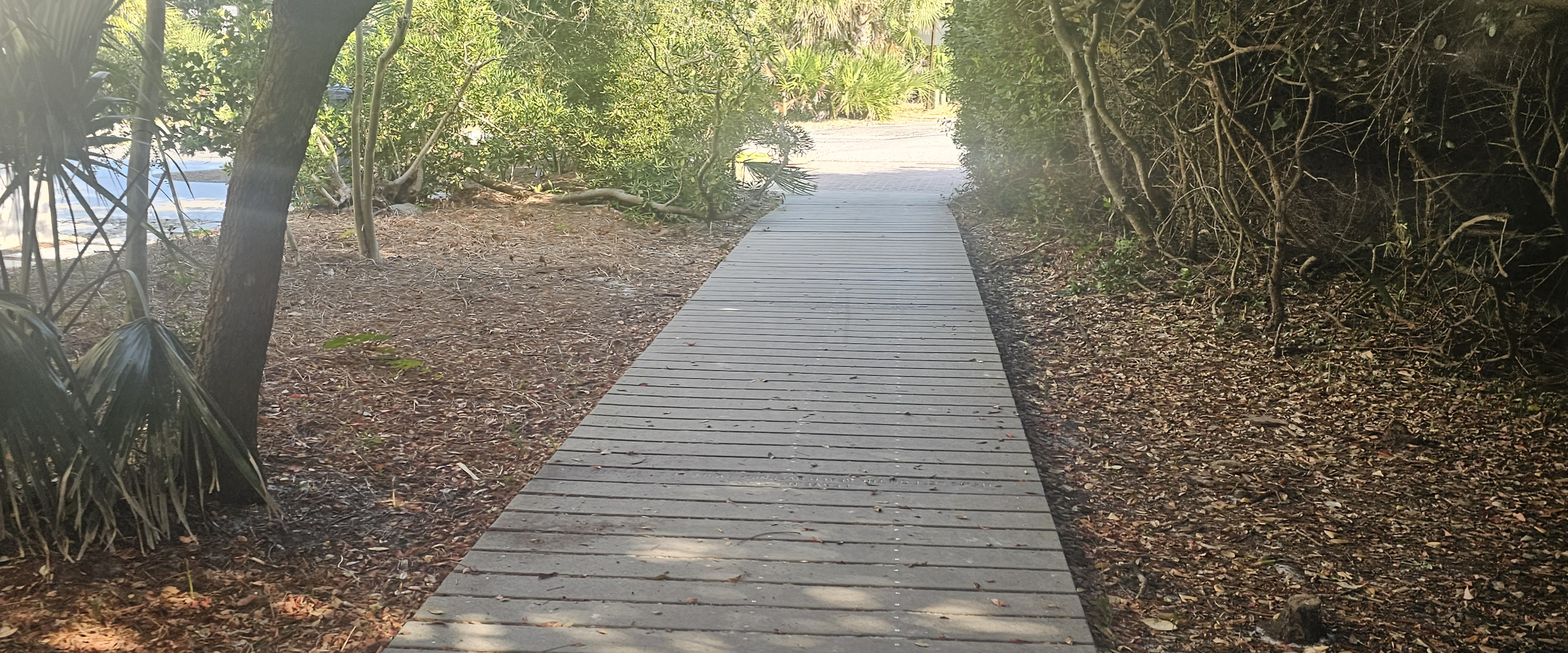 challenge background