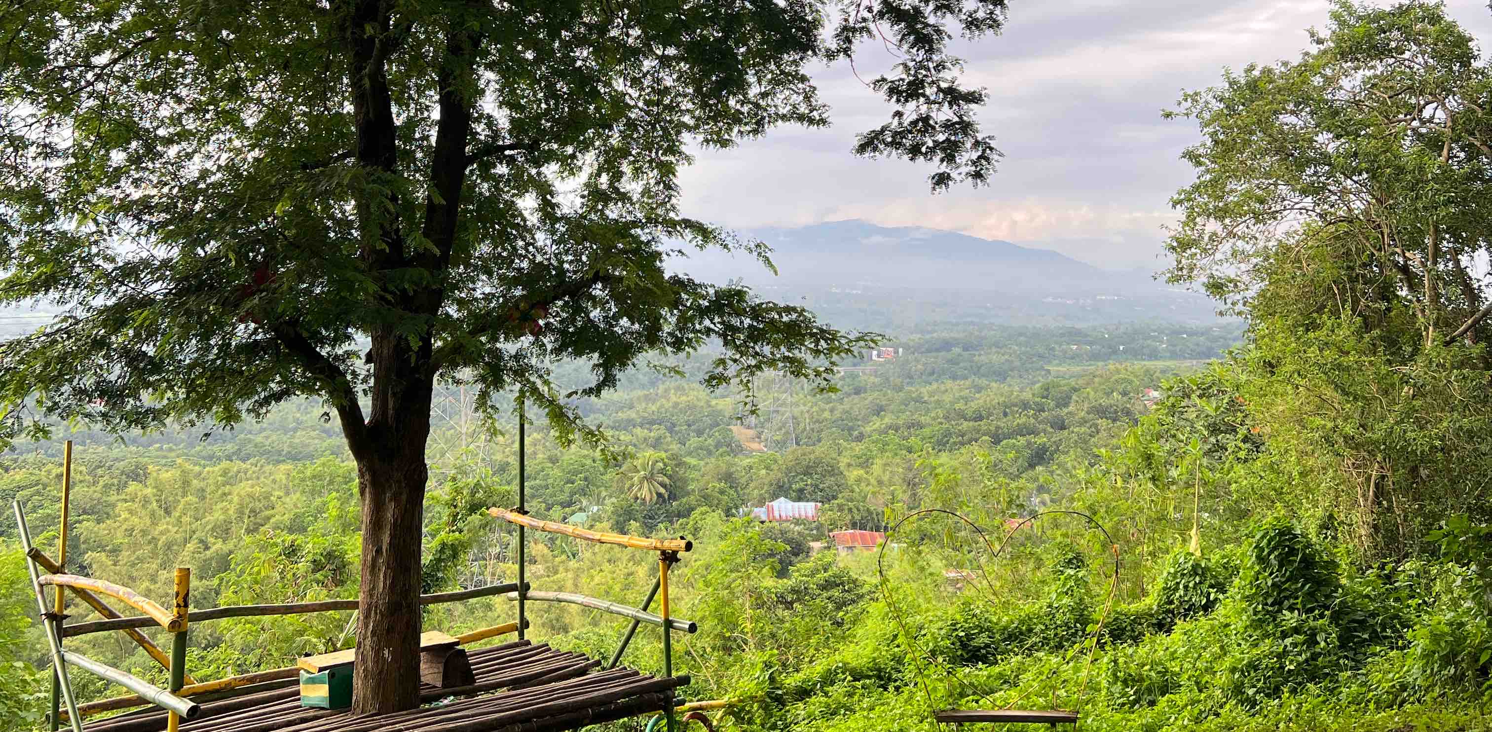 challenge background