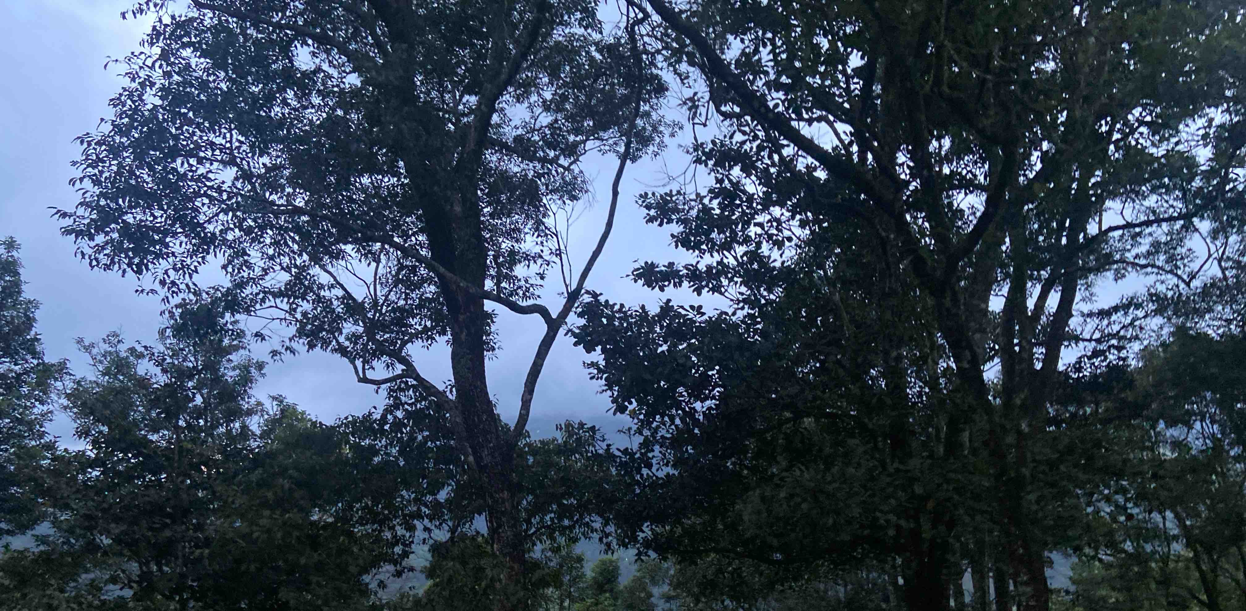 challenge background