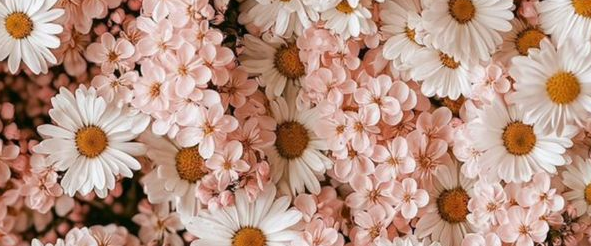 challenge background