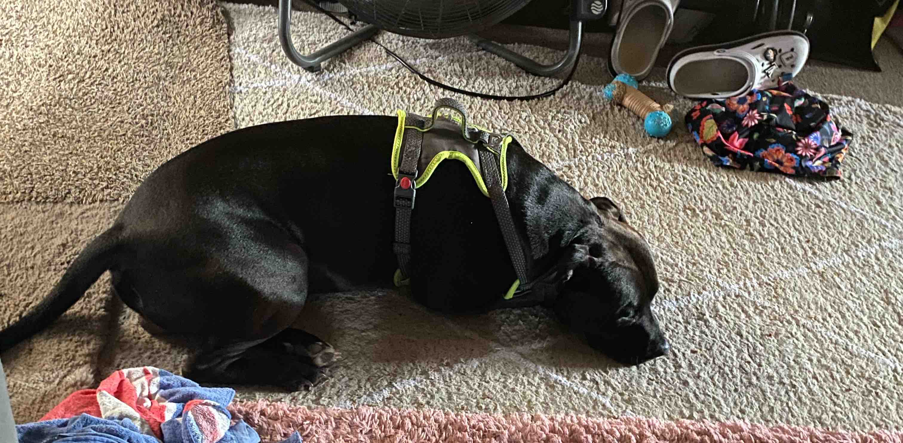 challenge background