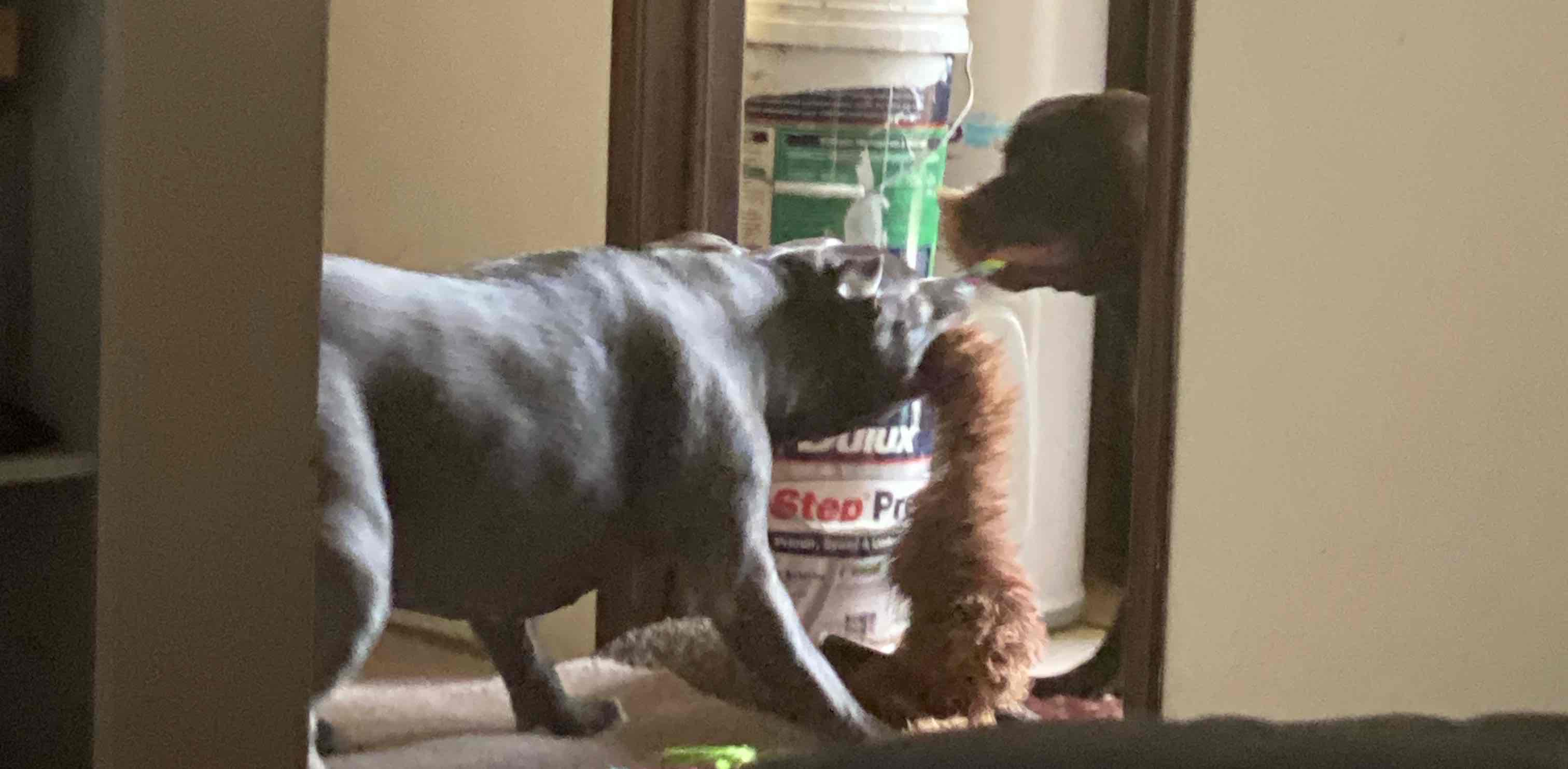 challenge background