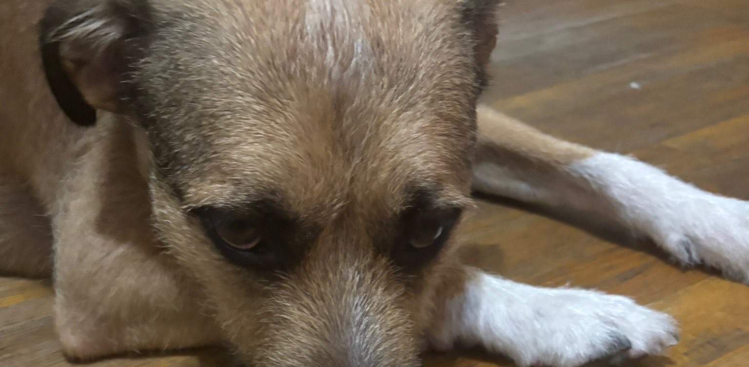 challenge background