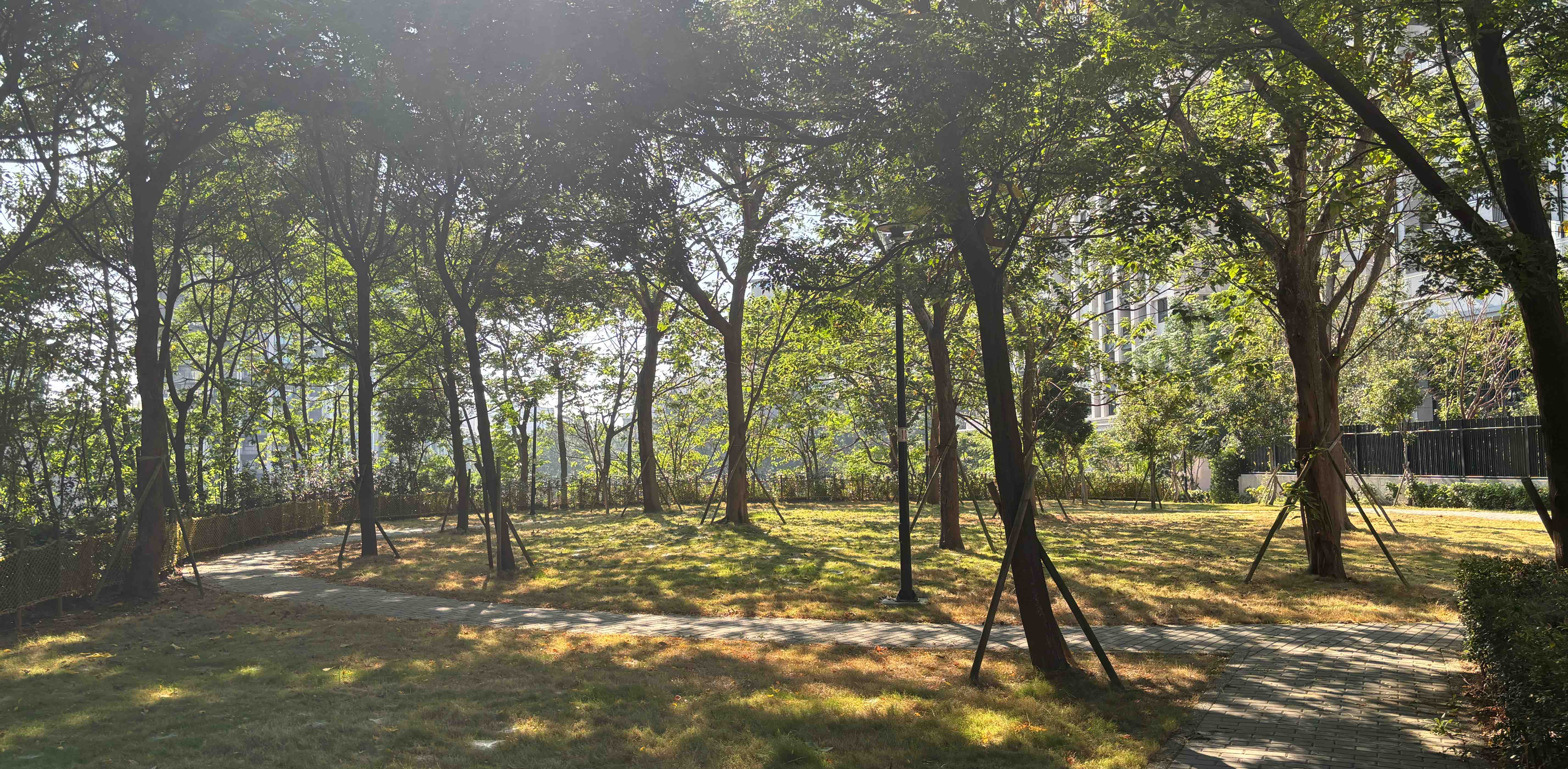 challenge background