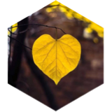 Daily 12000 steps Challenge icon