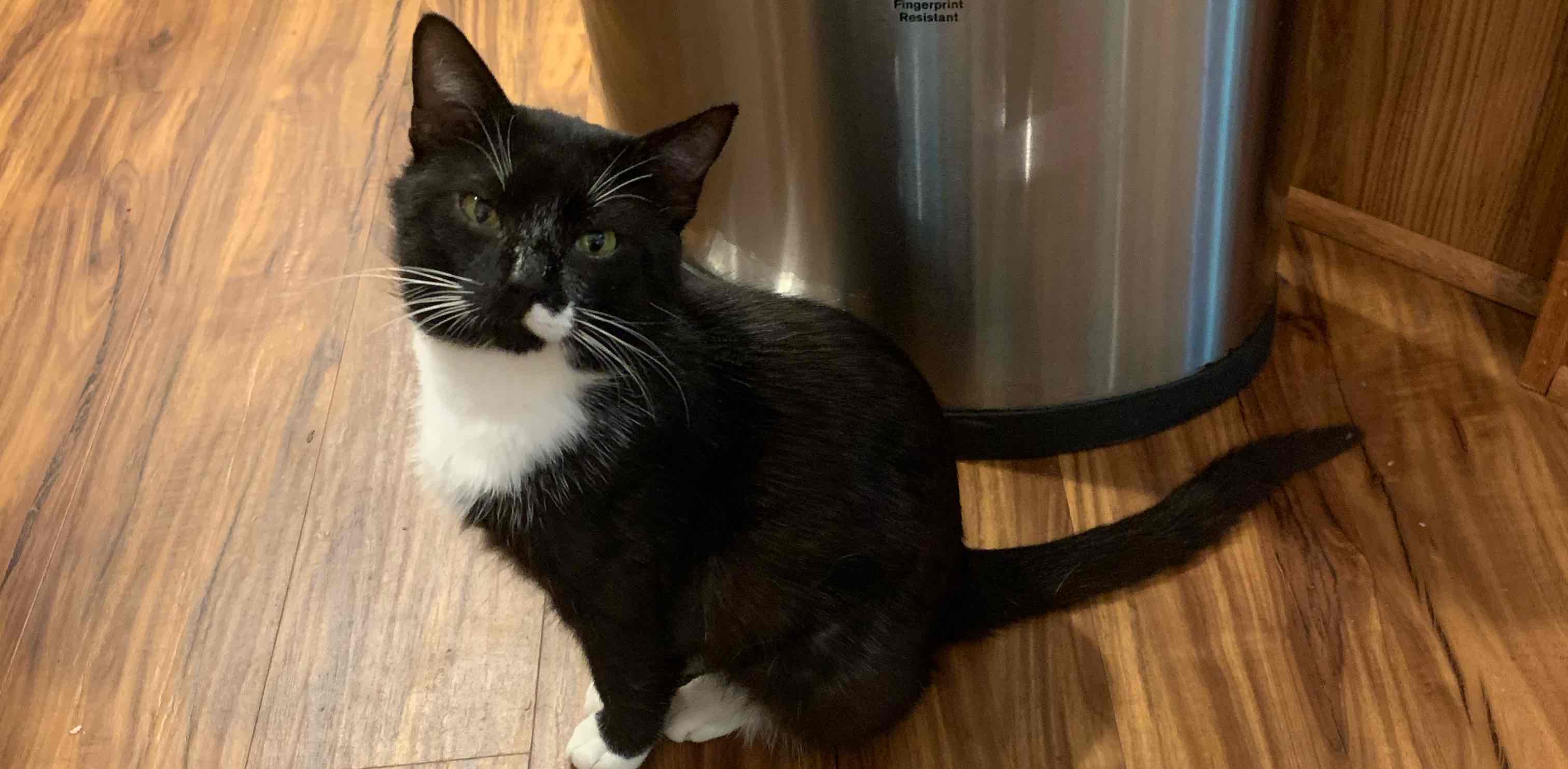 challenge background