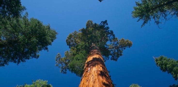 challenge background