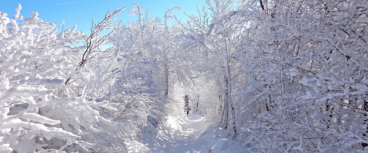 challenge background