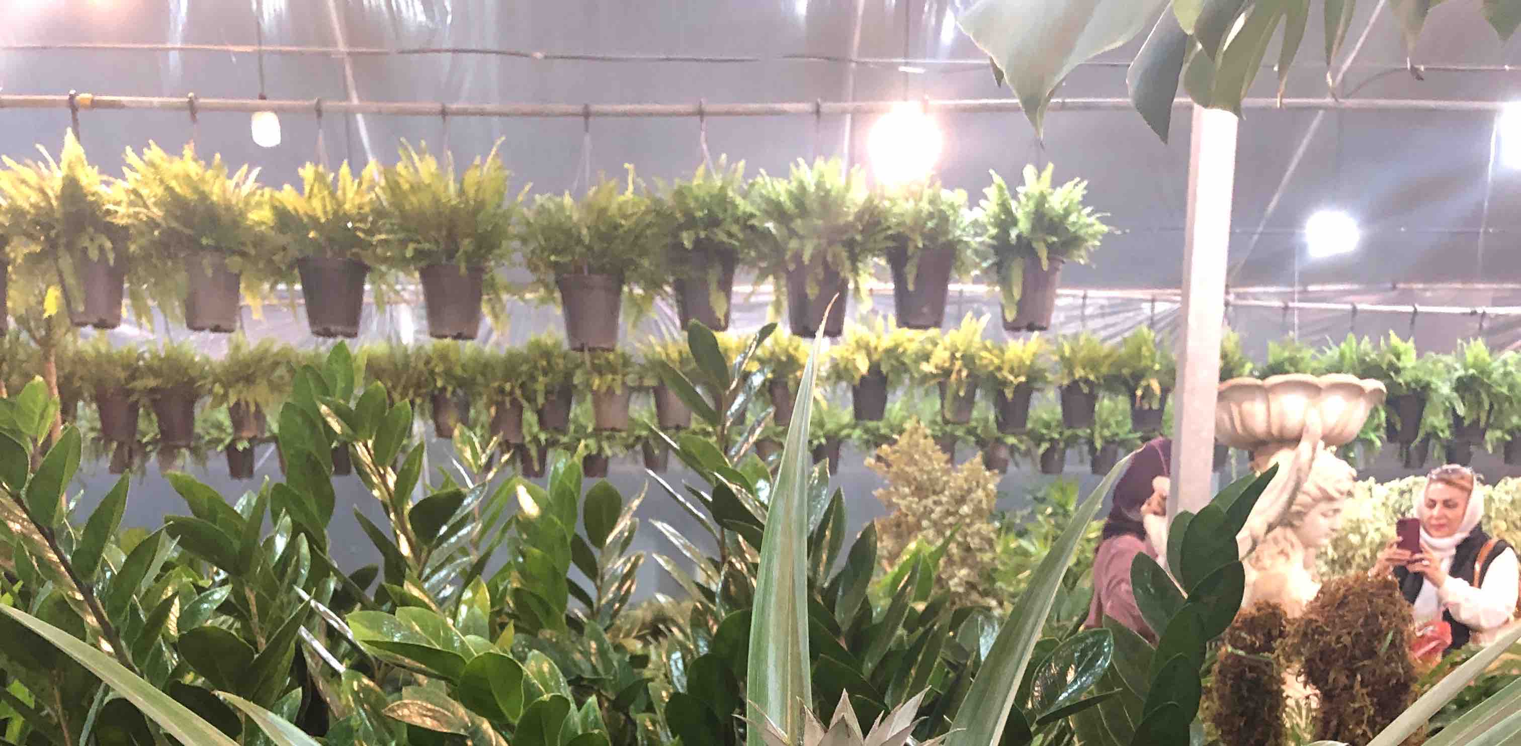 challenge background