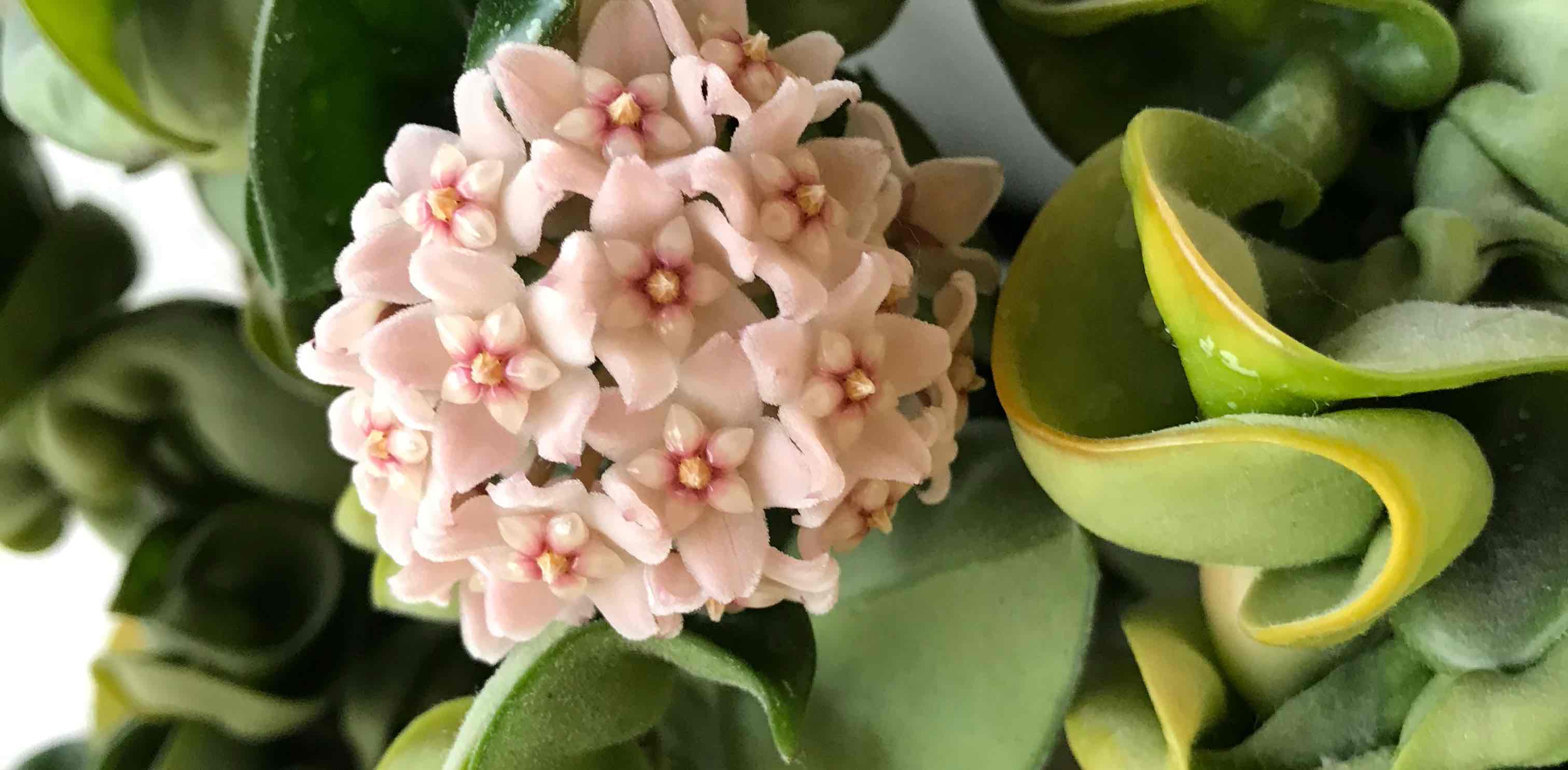 challenge background