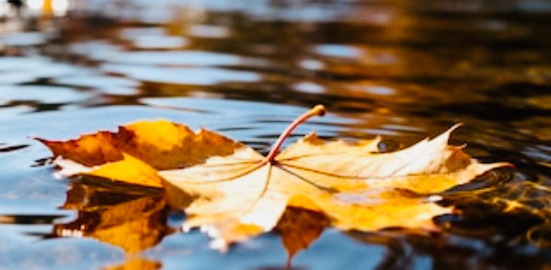 challenge background