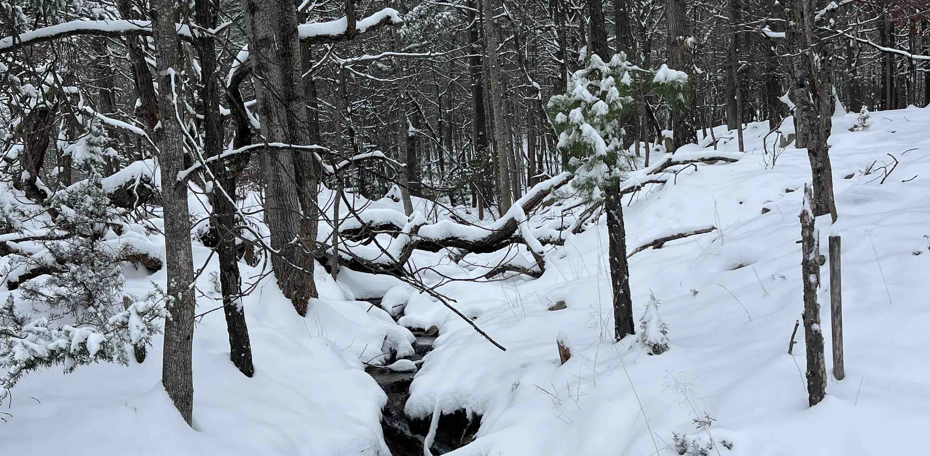 challenge background