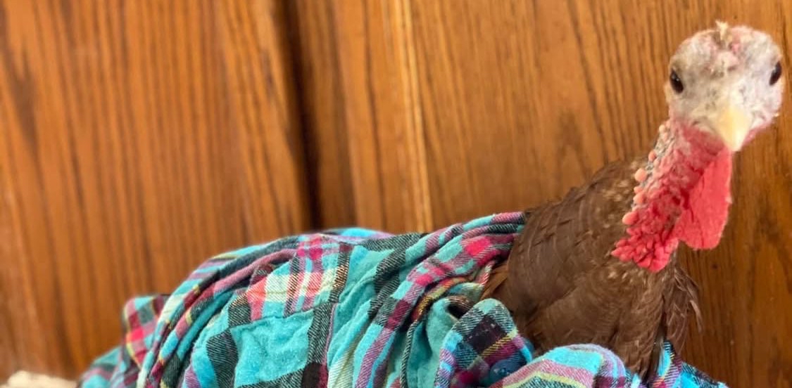 challenge background