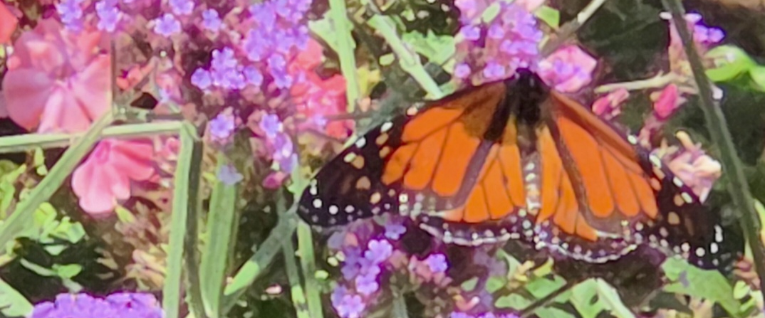 challenge background