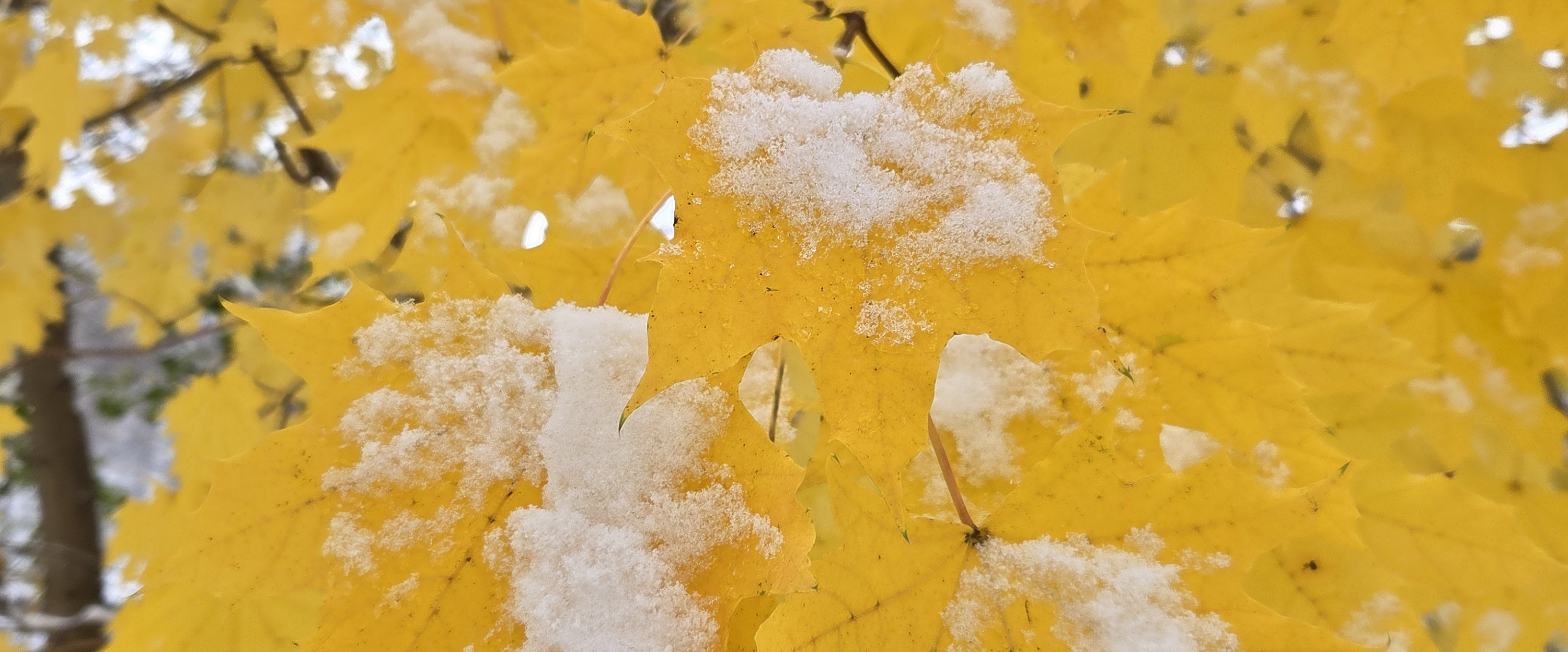 challenge background