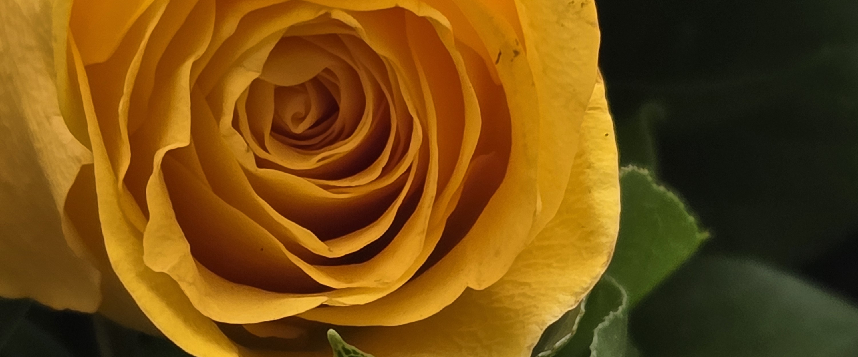 challenge background