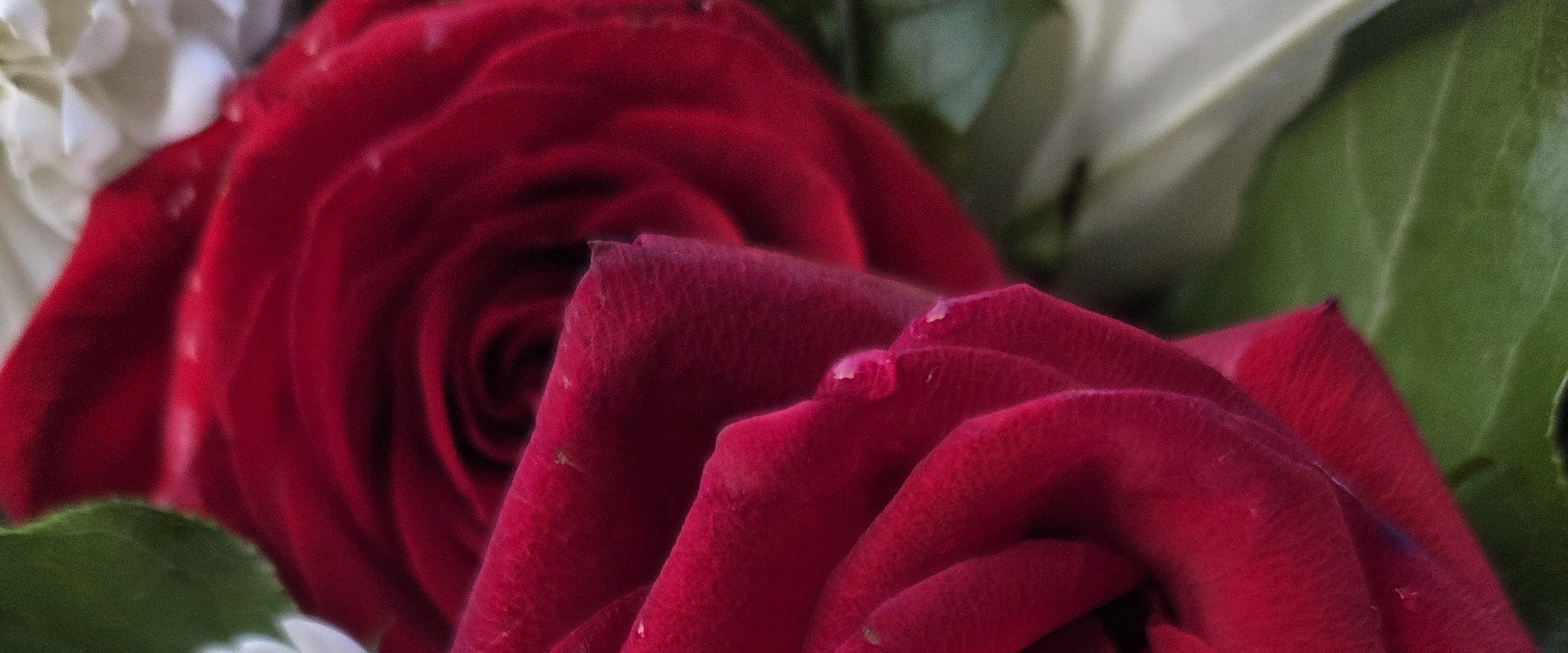 challenge background