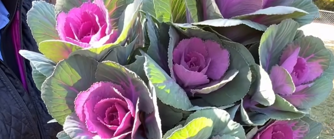 challenge background