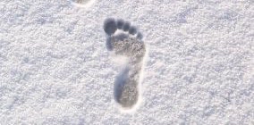 challenge background