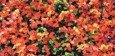 challenge background