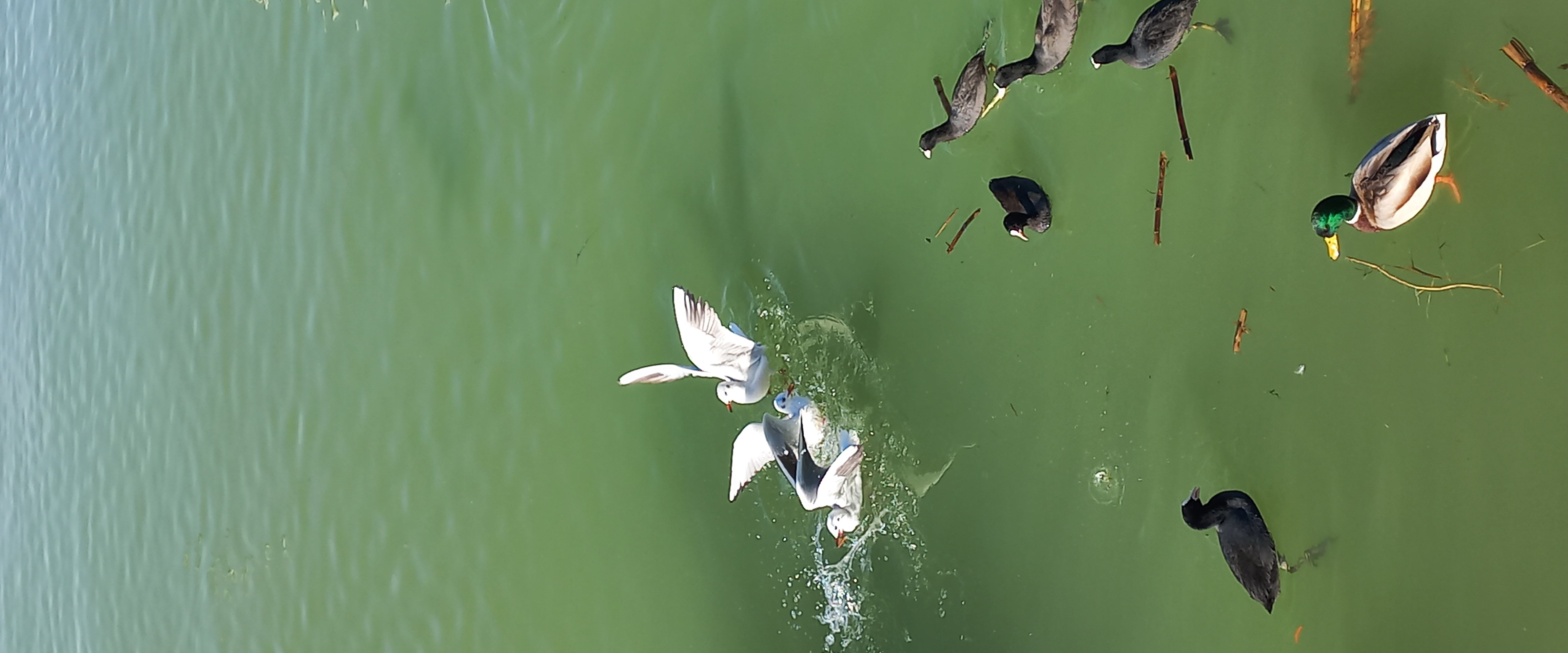 challenge background