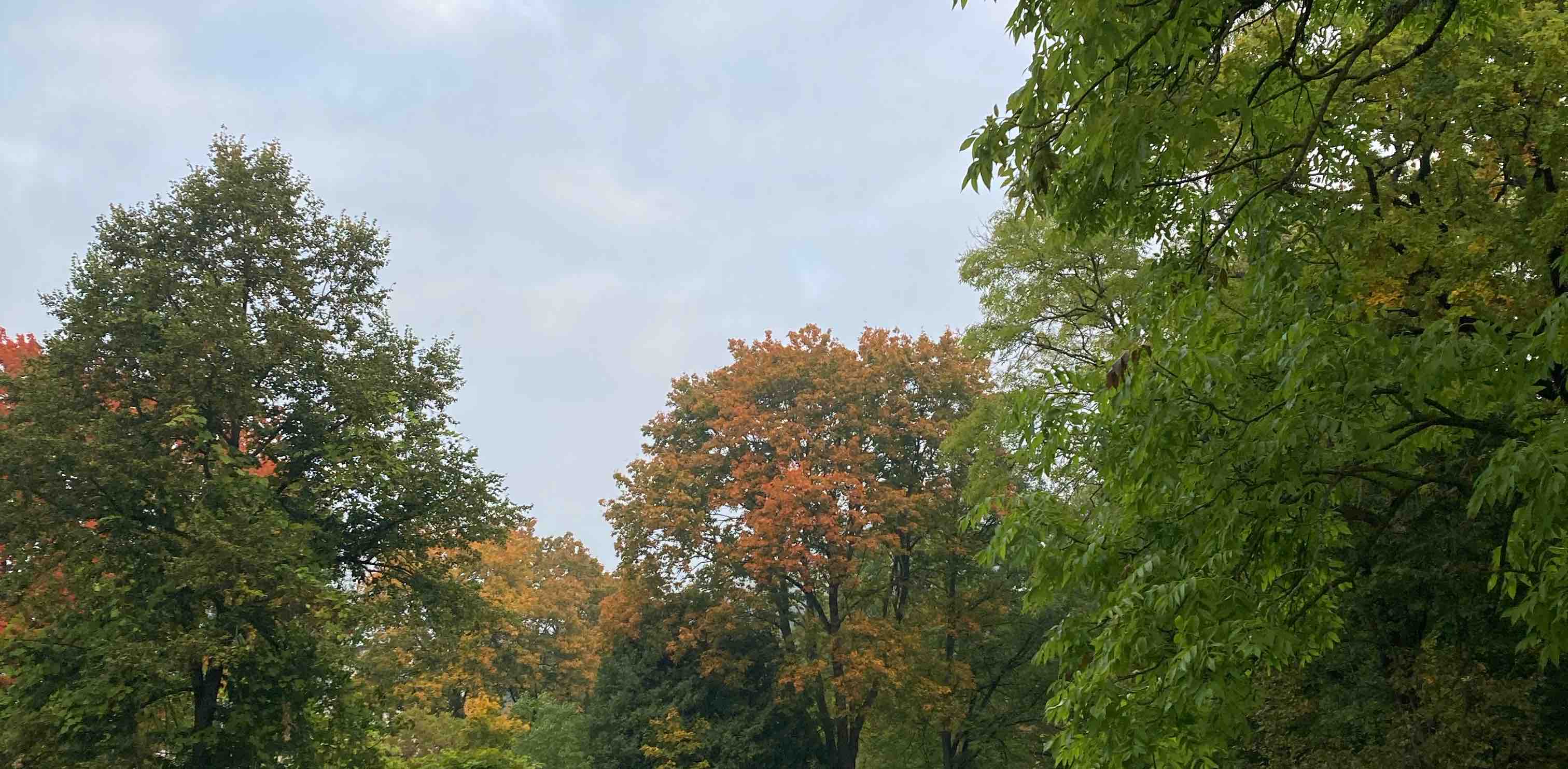 challenge background