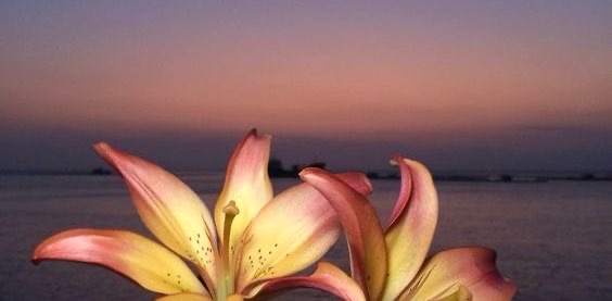 challenge background