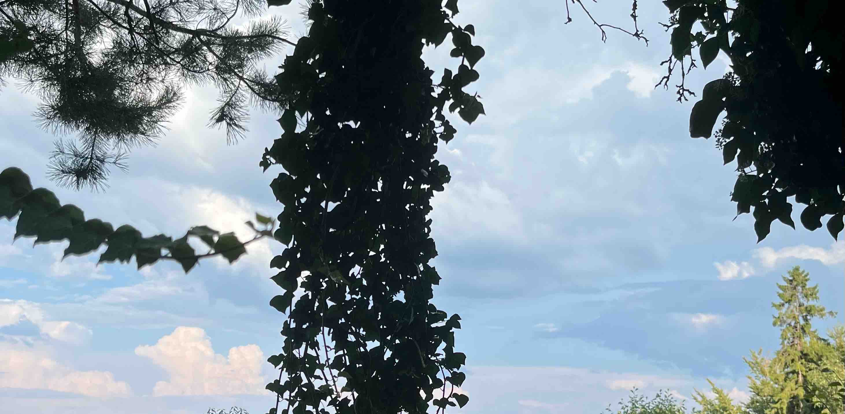 challenge background