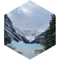 Weekend Race No. 161 icon