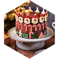 🎄December Birthday Celebration 🎄 icon