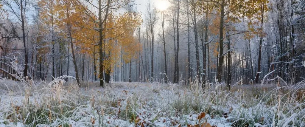 challenge background