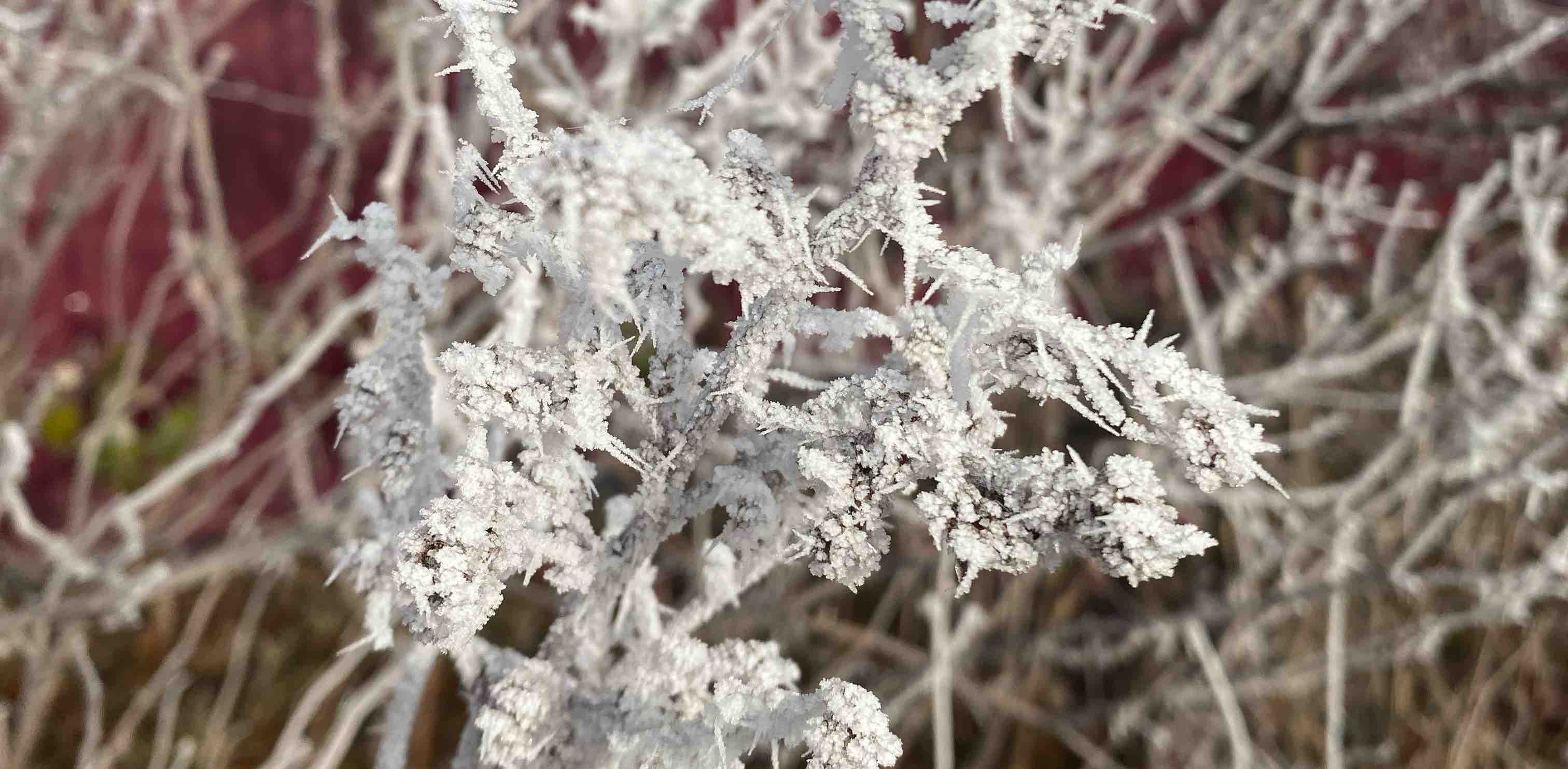 Вопреки видимости, именно зима-пора надежды ❄️ logo