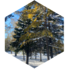 Вопреки видимости, именно зима-пора надежды ❄️ icon
