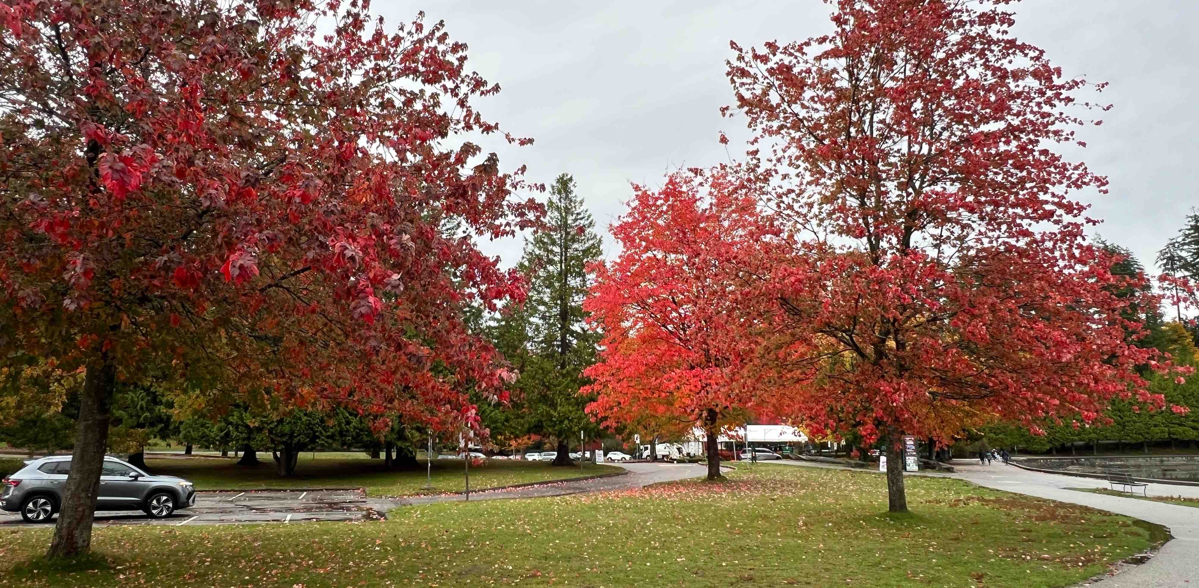 challenge background