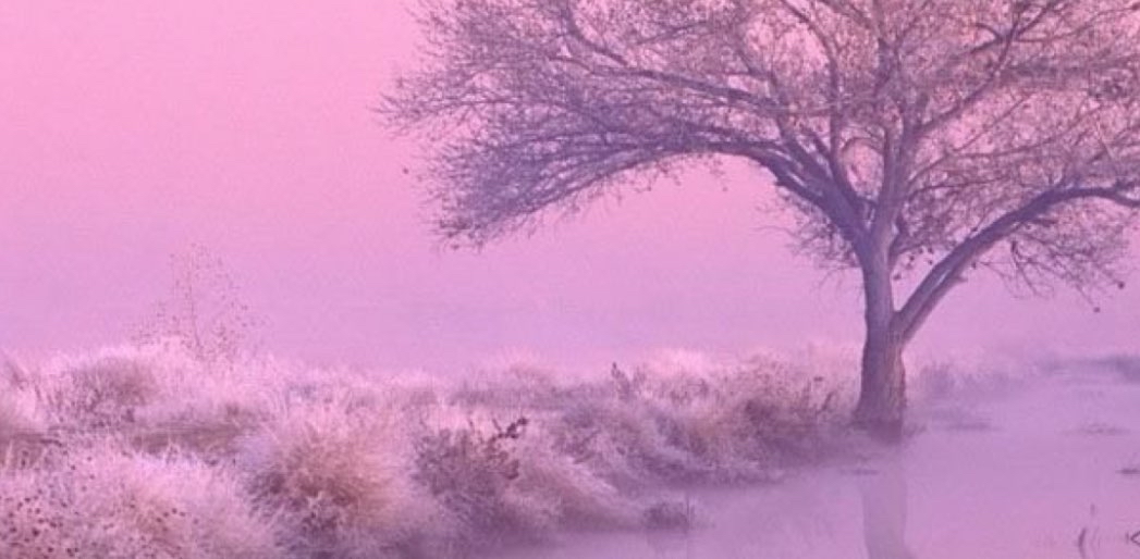 challenge background