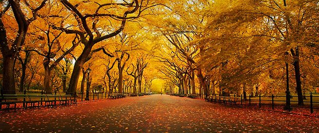 challenge background