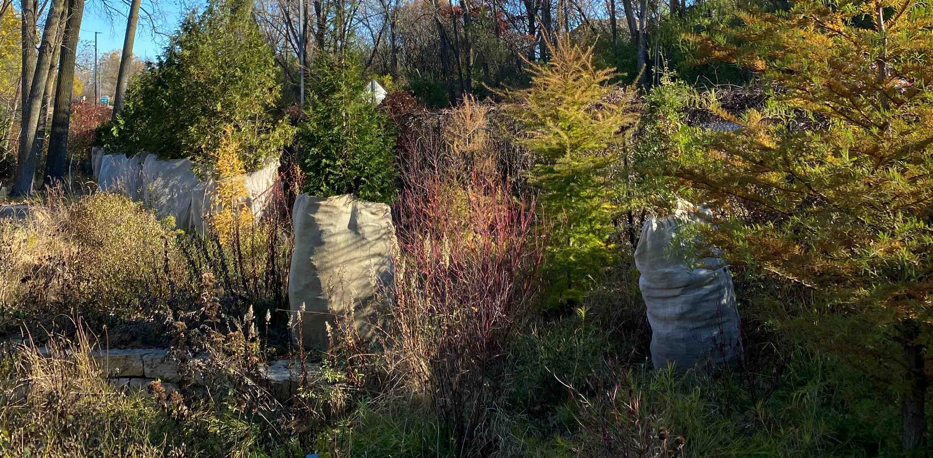 challenge background