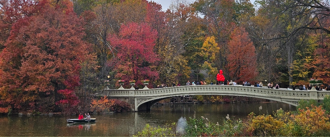 challenge background